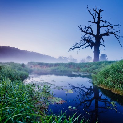 1920 x 1080 HD Wallpapers 2616